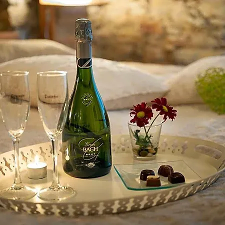 Hotel-spa Classic Hotell Begur