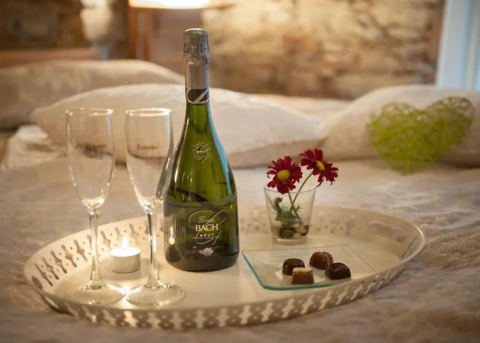 Hotel-spa Classic 4* Begur