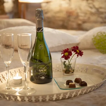 Hotel-spa Classic 4* 베구르